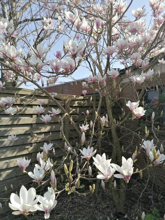 오우덴부르그 Logies Lily 아파트 외부 사진